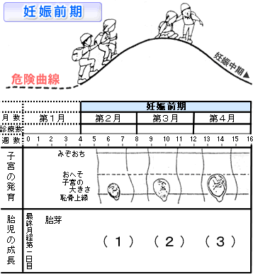 妊娠前期