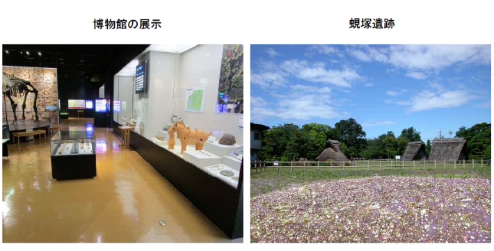 博物館の展示と蜆塚遺跡