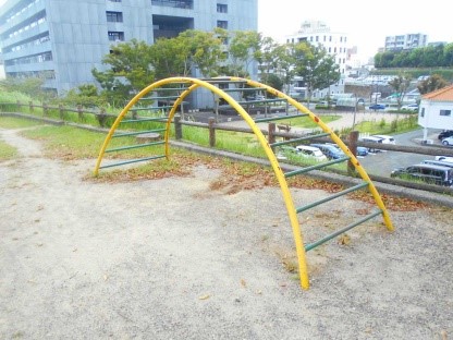 太鼓橋タイプの雲梯