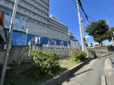 七夕写真