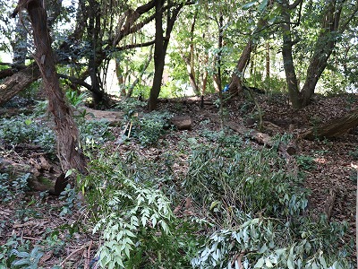 図2