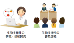 専門家の役割