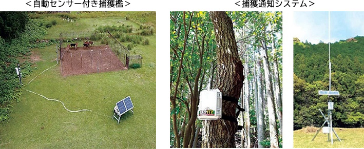 自動センサー付き捕獲檻 捕獲通知システム
