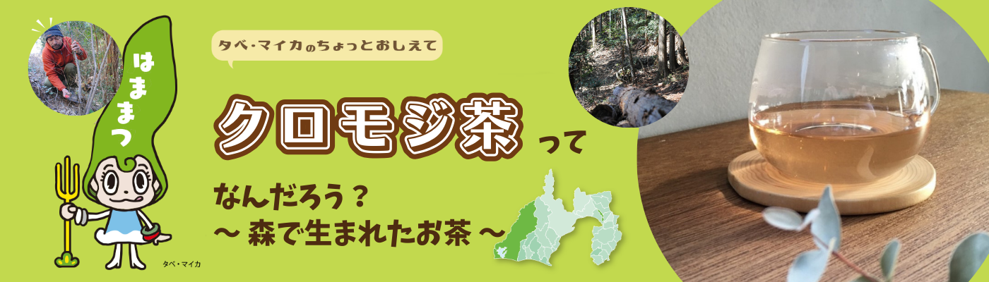 トップ画像