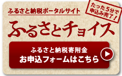 ふるさと納税ポータルサイト「ふるさとチョイス」たった5分で申込み完了！ふるさと納税寄附金お申込フォームはこちら