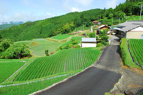 エリア住まいの魅力4