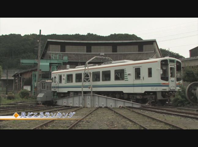 見どころいっぱい！天竜浜名湖鉄道を再生