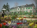 平成16年を振り返るとともに、新市誕生を控えた平成17年の抱負